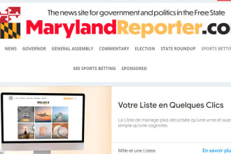 do guest post on tech bullion or maryland reporter