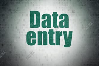 do microsoft office word and excel projects,
