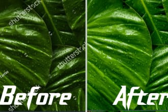 remove background or add text logo watermark professionally