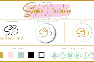 design professional signature logo complete branding kit 12 hour