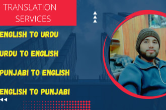 translate your ebook to  english, urdu, punjabi, and spanish book and proofread