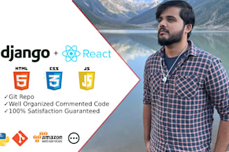 develop full stack custom websites with python django react rest API