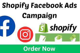 setup shopify facebook ads campaign for viral salse