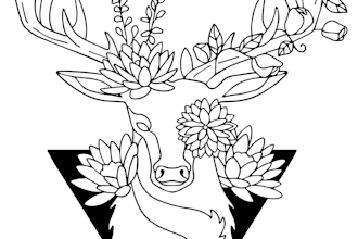 do custom minimalist one line drawings