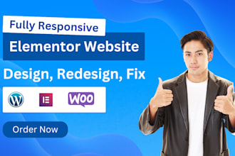 redesign, revamp, edit or fix elementor page, section or  issues in wordpress