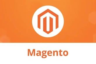 fix magento 2 issues and customize your store to meet your needs
