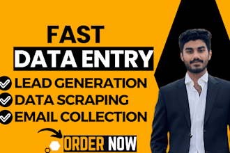 do data extraction, data entry, data hunting, email collection and data research
