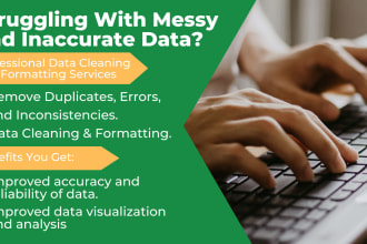 do professional ms excel data cleaning and formatting, sorting