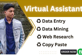 be your virtual assistant for data entry, data analysis, retyping and copy paste