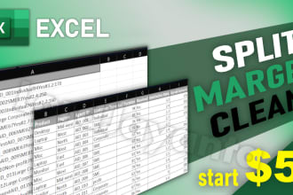 do excel data split, data entry, clean, merge, organize leads big excel sheet