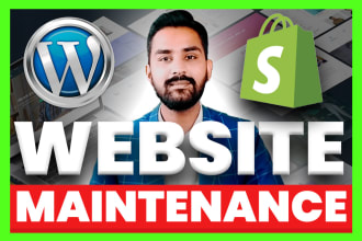 do wordpress and shopify website maintenance, fix bugs, errors, help and support
