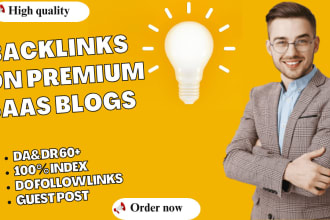 do SEO link building on premium saas websites