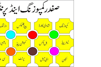data entry excel , word inpage