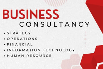 be your professional business analyst strategic consultant
