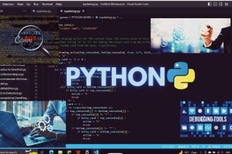 do professional python and google apps script developer for automation solutions