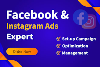 setup and manage facebook ads, instagram ads campaign for sales and leads
