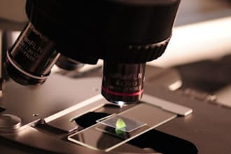 do projects related to metallurgy and materials engineering