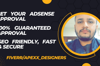 build attractive adsense approval wordpress website for you