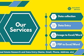 accurate and efficient data entry services