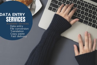 do any file conversion and data entry