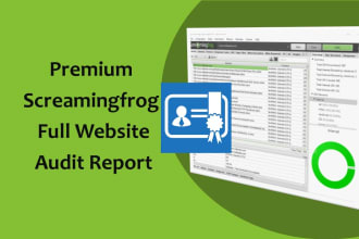 do SEO audit crawl report with premium screaming frog
