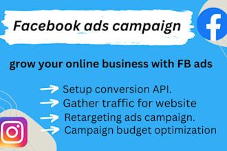set up facebook ads and instagram ads campaign