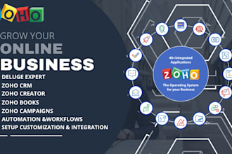 setup and customize zoho crm, zoho one, zoho creator, zoho books, zoho campaigns