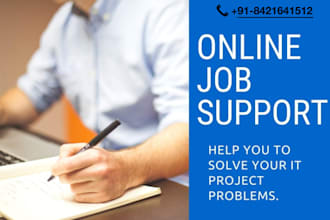 provide job support for all kind of technologies