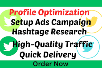 set up twitter ads campaign and organic promotion