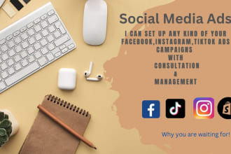 run your shopify facebook ads tiktok ads management for the best sales