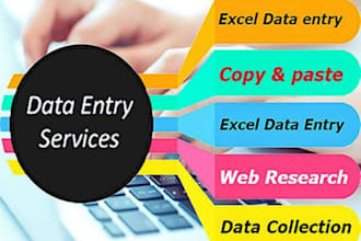 do web search and excel data entry