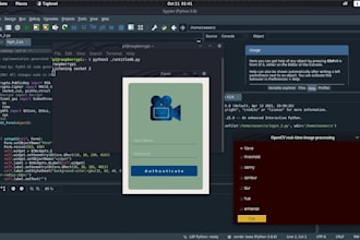 create gui, programming and script writing in python for you