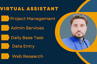 virtual assistant for data entry web research data input