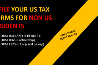 prepare and e file USA tax returns for 1065, 1120 and 1040nr