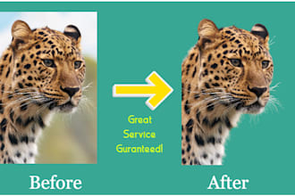 remove background from photos and images