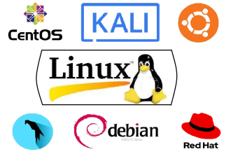 do your linux based projects