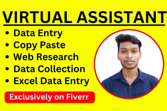 do accurate data entry, copy paste, typing, excel data entry