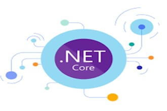 dotnet core expert and custom API development