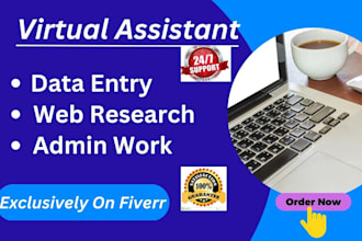 be your VA for data entry web research administration lead generation