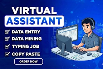 be your virtual assistant for data entry, data mining, copy paste, web research