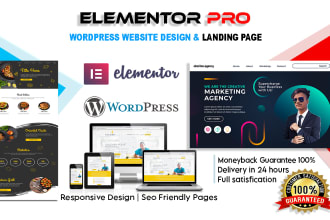 be your elementor expert to design a modern wordpress landing page