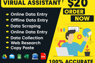 do data entry, copy paste, web scrapping, data collection