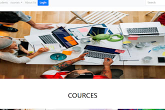 professional website design in low budget
