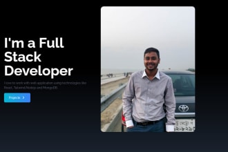 develop full stack mern website development