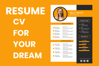 make professional cv maker, resume design, writing edit, rewriting usa uk create