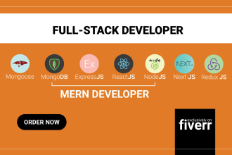 be react js, next js, express js, node js, mongodb expert