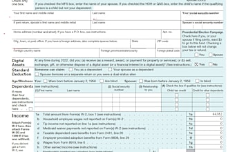 prepare USA tax efile 2025 as an enrolled agent tax expert