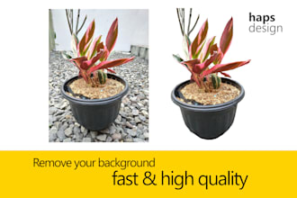 do retouching, background removal and photoshop editing