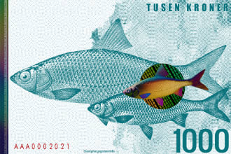 create a custom money or bank notes design for you