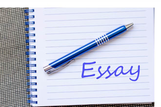 write business, management, finance and economics essay